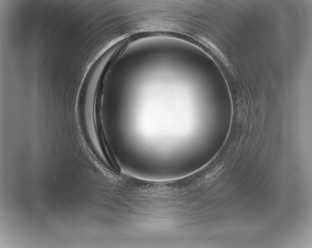 X0000071380885200607071839