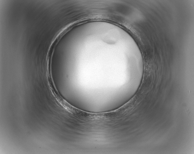 X0000071380886200607071839