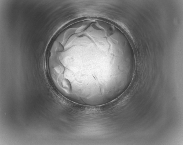 X0000071380887200607071839