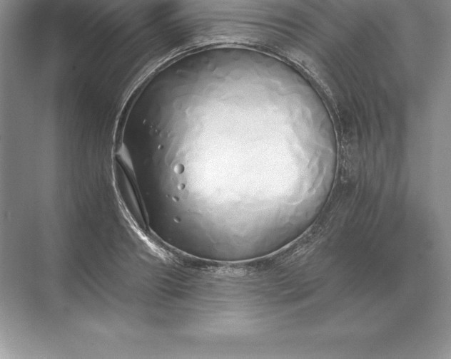 X0000071380890200607071839