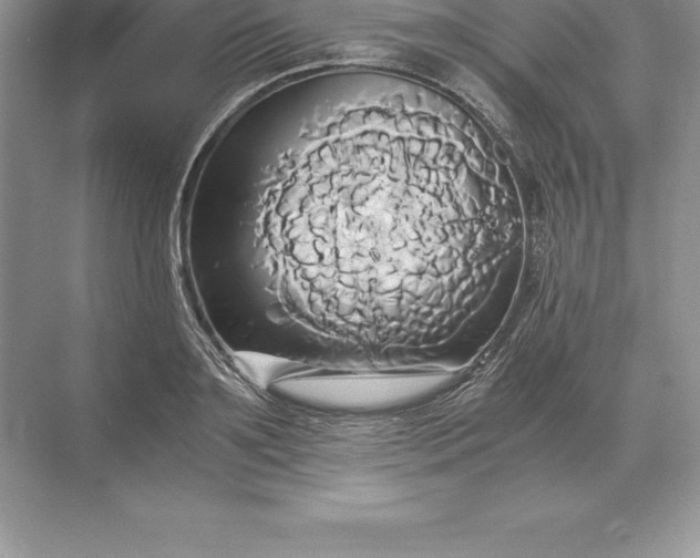 X0000071380891200607071839