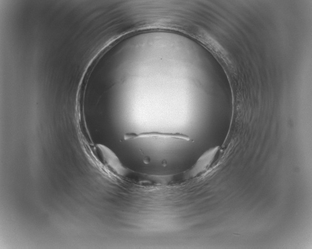 X0000071380892200607071839