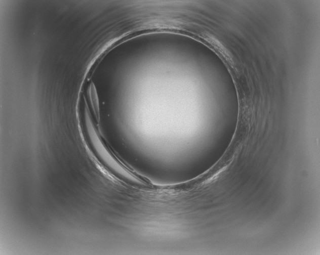 X0000071380893200607071838