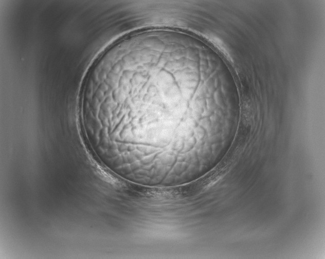 X0000071380895200607071838