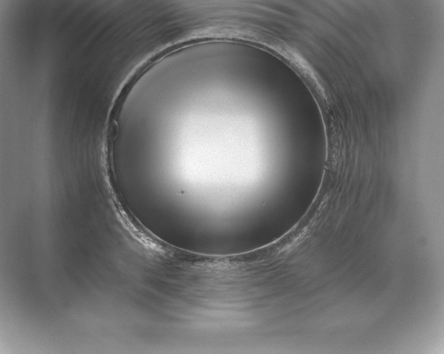 X0000071380896200607071838