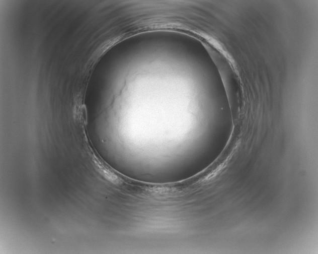 X0000071380897200607071838