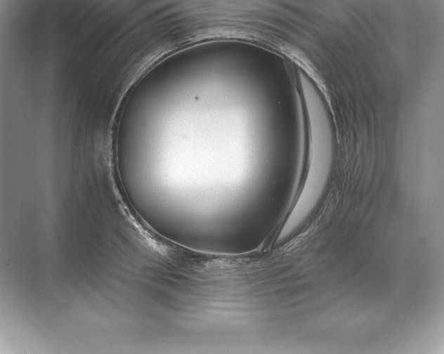 X0000071380898200607071838