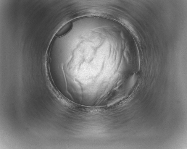 X0000071380899200607071838