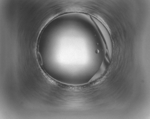 X0000071380901200607071838