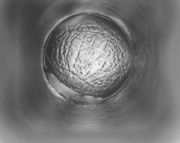 X0000071380903200607071838