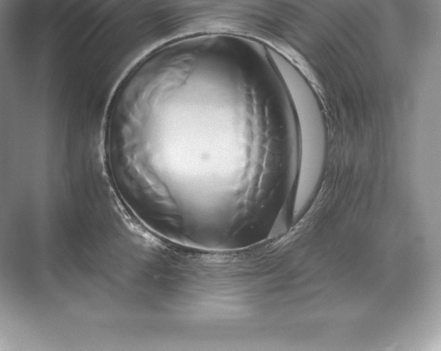 X0000071380904200607071838