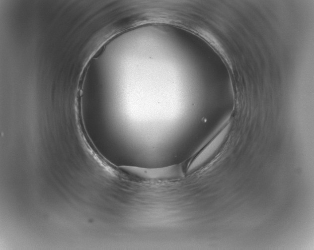 X0000071380906200607071838