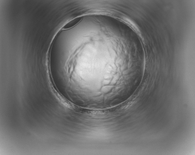 X0000071380907200607071838