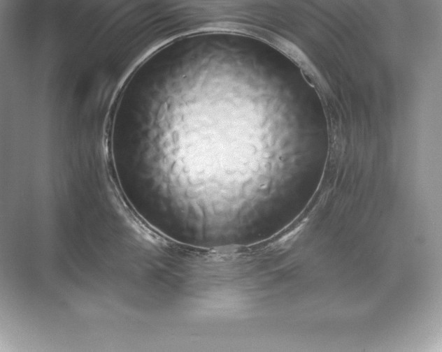 X0000071380908200607071838