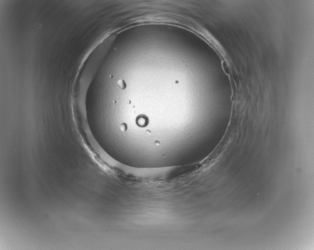 X0000071380909200607071838