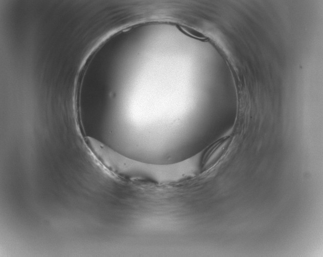 X0000071380910200607071838