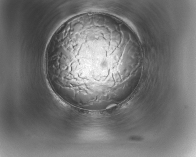 X0000071380911200607071838