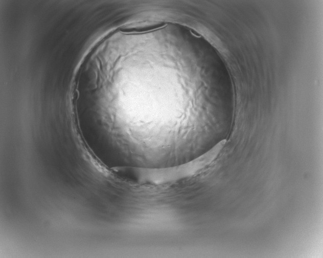 X0000071380912200607071838