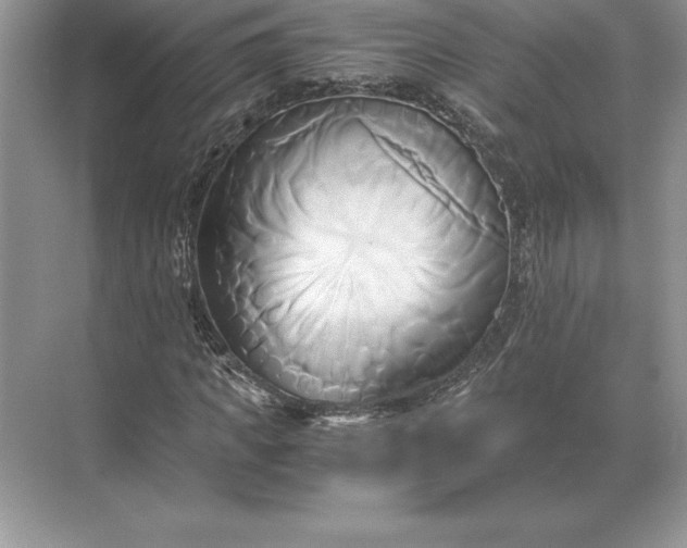 X0000071380917200607071837