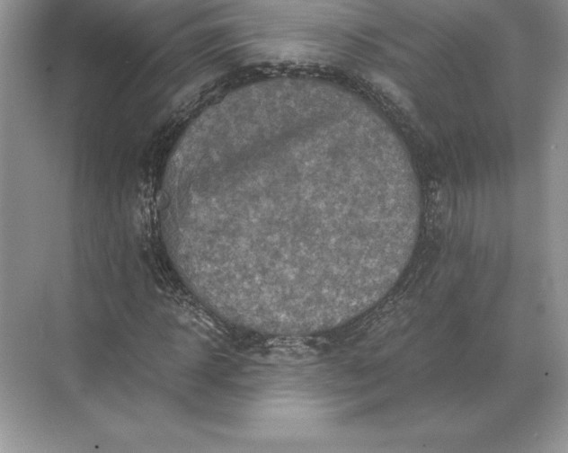 X0000071380918200607071837