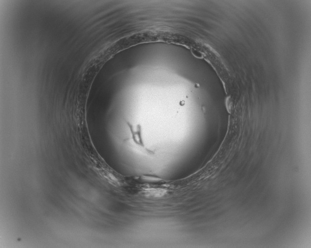 X0000071380919200607071837