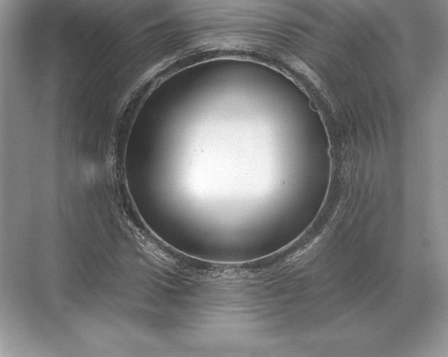 X0000071380922200607071838