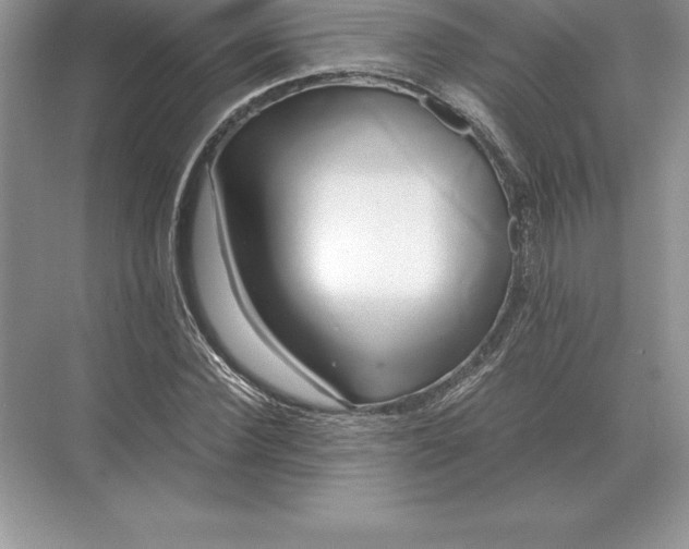 X0000071380924200607071838