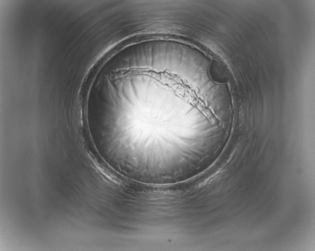 X0000071380925200607071838