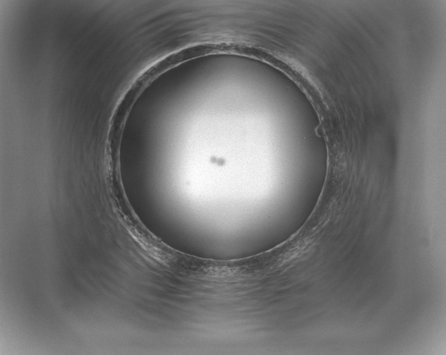 X0000071380927200607071838