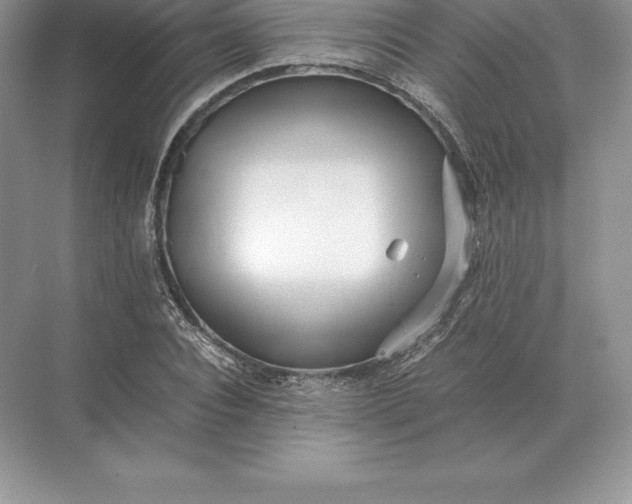 X0000071380928200607071838