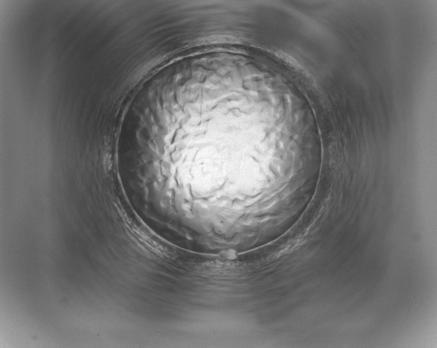 X0000071380929200607071838