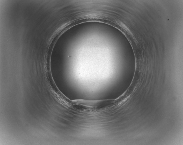 X0000071380930200607071838