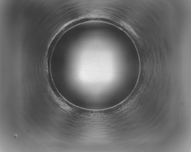 X0000071380934200607071838