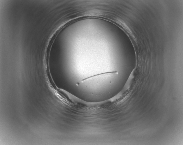 X0000071380939200607071838