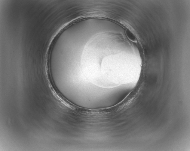 X0000071380941200607071838