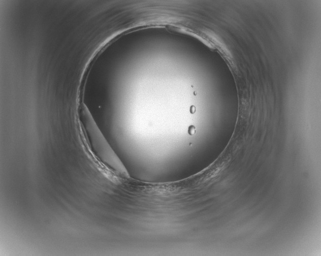 X0000071380948200607071838