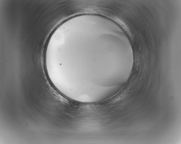 X0000071380950200607071838