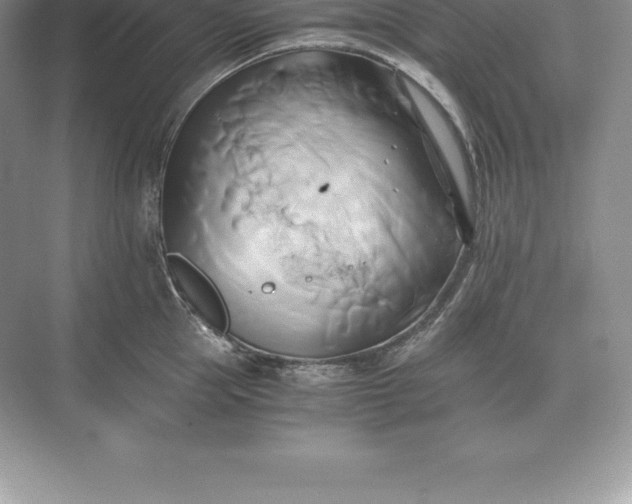 X0000071380953200607071838