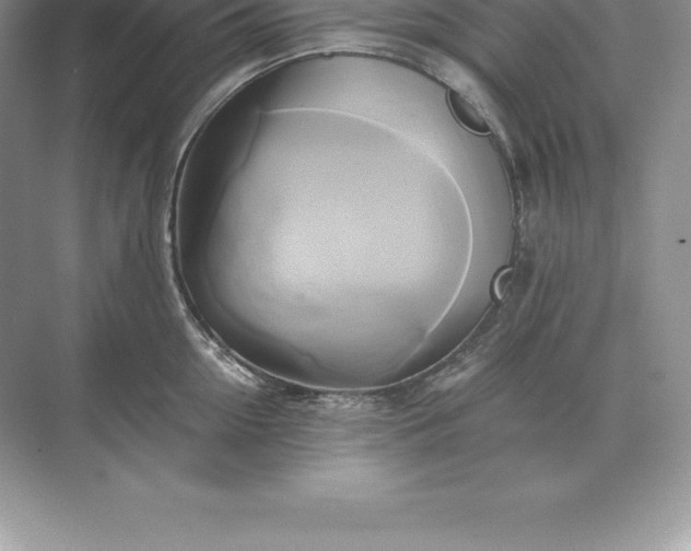 X0000071380954200607071838