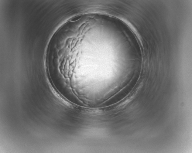 X0000071380957200607071838