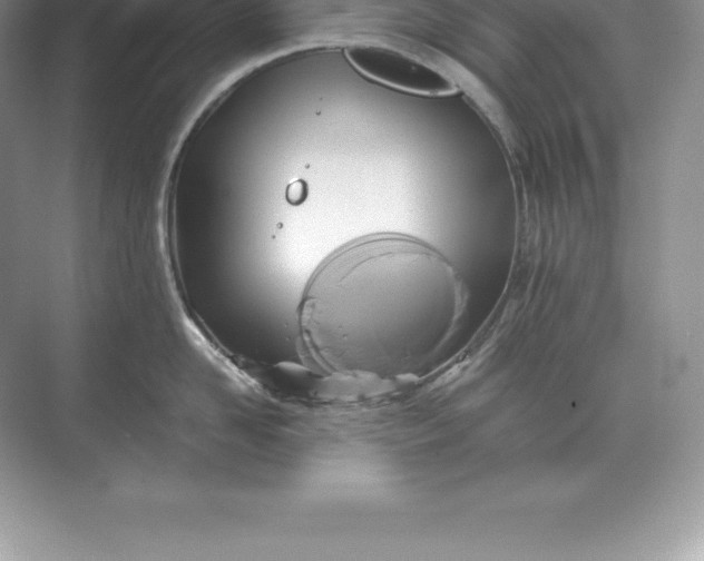 X0000071380958200607071838