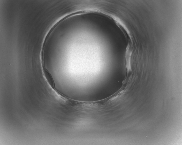 X0000071380959200607071838