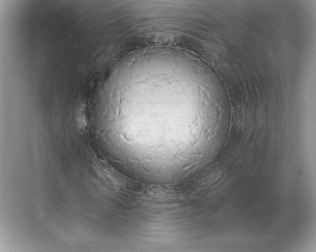 X0000071380962200607071837