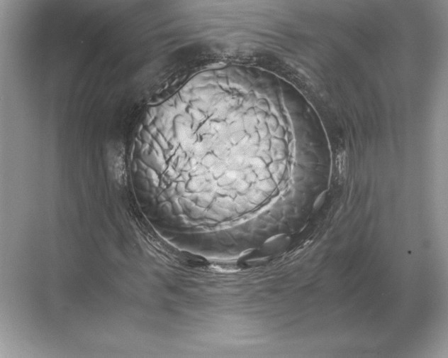 X0000071380963200607071837