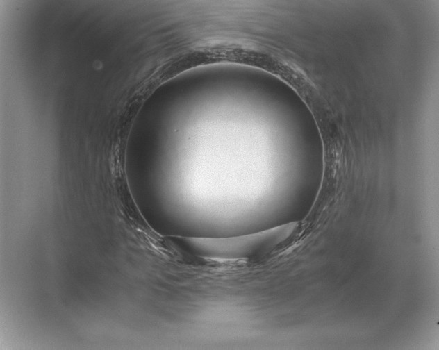 X0000071380965200607071837