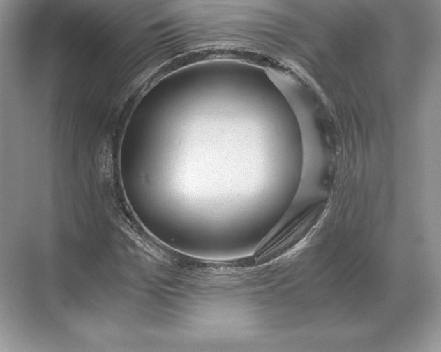 X0000071380969200607071837