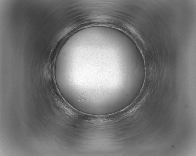 X0000071380970200607071837