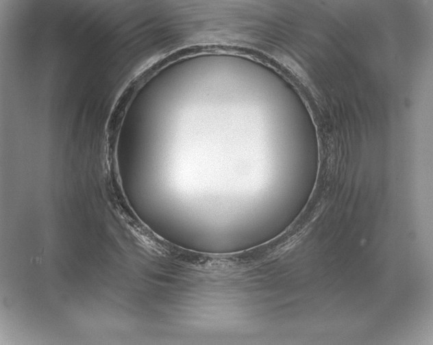 X0000071380974200607071837