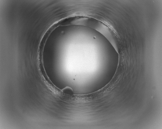 X0000071380976200607071837