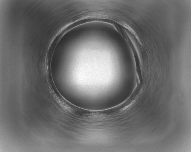 X0000071380981200607071837